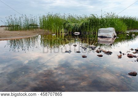 Flooded Stone Meadows Surrounded By Sedges With Clouds Reflected In The Water In Kaltene, Latvia. Ka