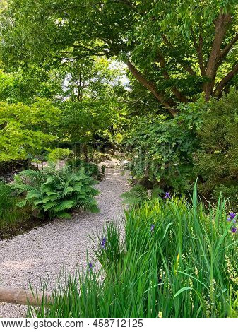 View Of Pathway Going Through Park With Beautiful Green Plants