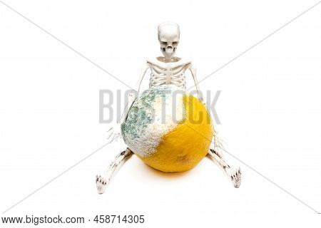 A Human Skeleton Is Sitting Holding A Rotten Spoiled Lemon With Mold Isolated On A White Background.