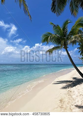 View On A Torpical Island With Blue Water And Beach At Sunny Day