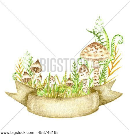 Poisonous Mushrooms Watercolor, Toadstool, Inedible Toxic Mushroom With Ribbon Banner, Fly Agaric, W
