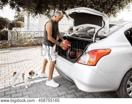 Basketball Coach Puts The Balls In The Trunk Of His Car Going To Workout. A Small Dog Jack Russell T