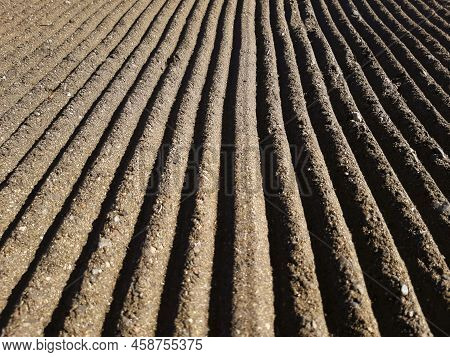 Perspective Of Deep Grooves Of Sand. Background Of Raked White Sand. Clean Beach Sand Texture With R