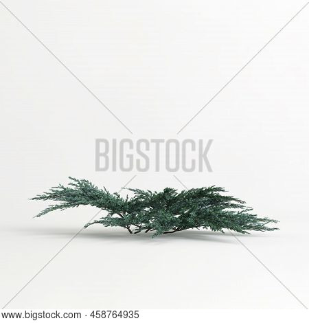 3d Illustration Of Flower Bush Isolated On White Background