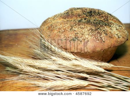 Pagnotta di pane e Wheatears