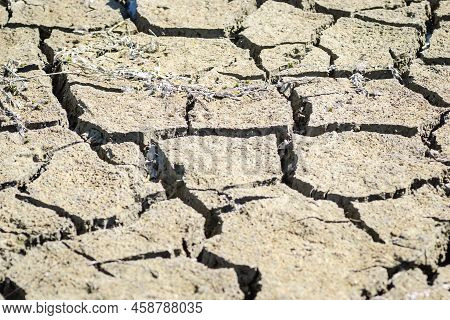 Dry Parched Land.