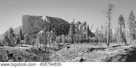 Scenic View To Yosemite Valley With El Captan And Half Dome, Usa