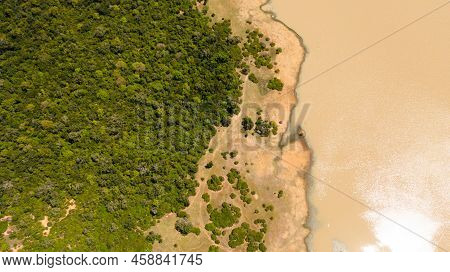 A Lake With A Wild Animal Surrounded By Jungle And Tropical Vegetation. Sri Lanka.