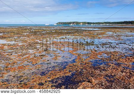 Flinders, Victoria, Australia - March 30, 2018: Low Tide At Dodds Creek Beach