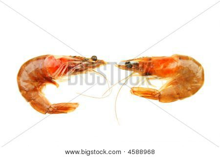 2 Crevettes