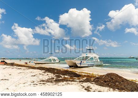07.24.2022. Dominican Republic Bavaro Punta Cana Provinces La Altagracia. Seaweed On The Beach. Alga