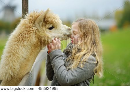 Cute Young Girl Stroking An Alpaca At A Farm Zoo On Autumn Day. Child Feeding A Llama On An Animal F
