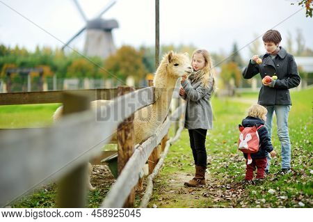 Cute Young Girl Stroking An Alpaca At A Farm Zoo On Autumn Day. Children Feeding A Llama On An Anima