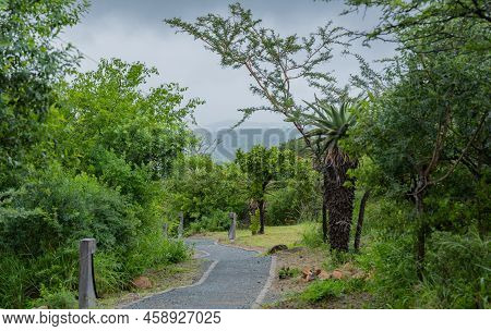 Safari Lodge Garden In Hluhluwe Imfolozi Park Nature Reserve South Africa