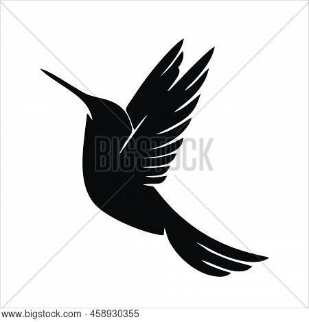 Bird Icon, Hummingbird Logo Design Vector Illustration. Stylish Bird Vector Logo Design. Isolated Wh
