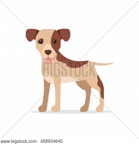 Cute Puppy Dog Isolated On White Background. Vector Stock