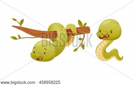 Cute Green Baby Snake As Crawling Creature Coiled Around Tree Branch And Slithering On The Ground Ve