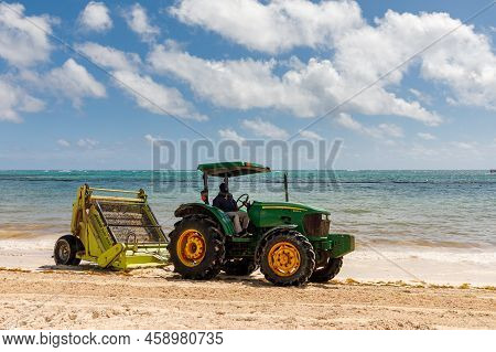 07.24.2022. Dominican Republic Bavaro Punta Cana Provinces La Altagracia. Seaweed On The Beach. Alga