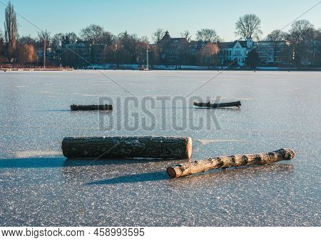 Logs, Tree On A Frozen Lake, Aussenalster, Hamburg, Germany, Winter 2021