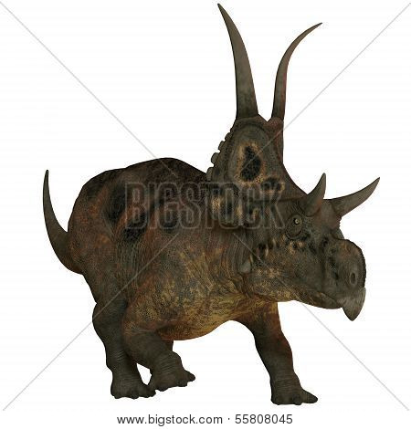 Diabloceratops On White