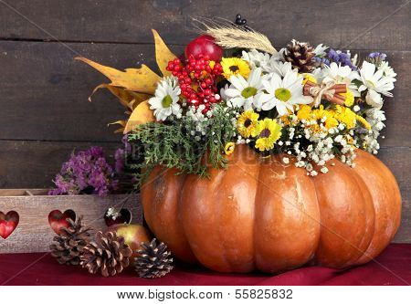 Beautiful autumn composition in pumpkin with bumps and decorative box on table on wooden background