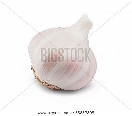 Garlic Bulb On White