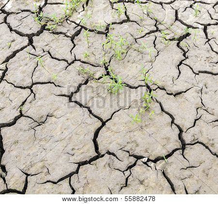 Dried Earth At The River