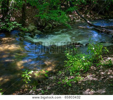 Creek Downstream