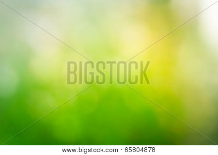 Beautiful Nature Green Bokeh Blurred Background