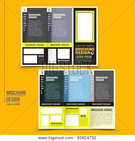 Vector Tri-fold Business Brochure Design