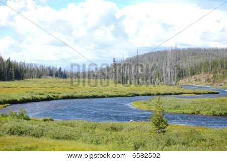 Yellowstone oxbow bend landskab