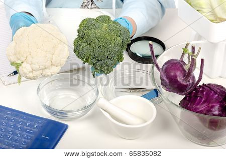 Hands Holding A Broccoli And Cauliflower In Laboratory