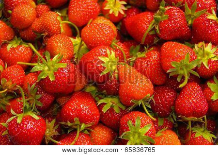 Strawberry background