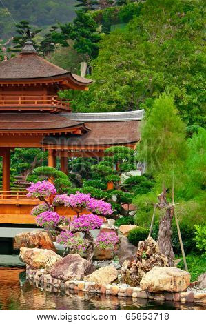 Garden view