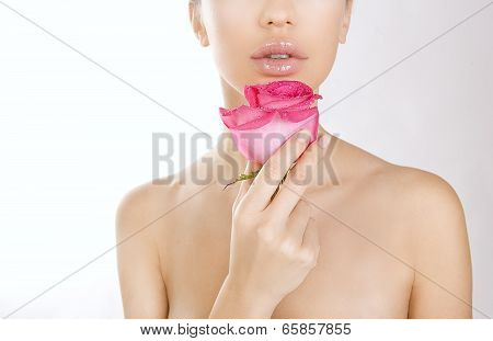 Beauty Woman Holding Pink Rose, Close-up