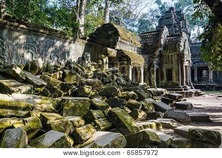 Ta Prohm temple, Cambodia