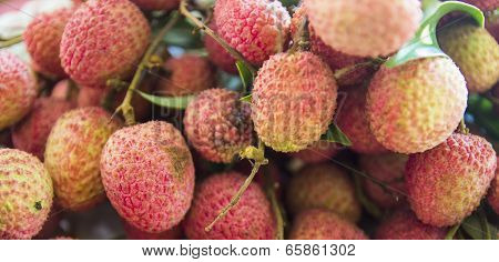 Litchi Fruit