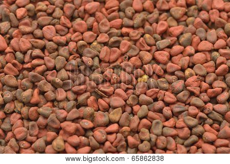 Annatto Seeds