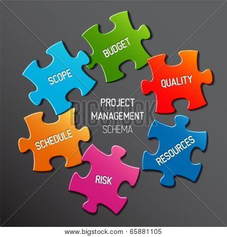 Vector Project management diagram scheme concept