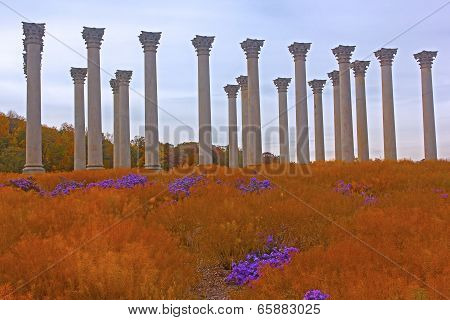 National Capitol Columns at sunset.