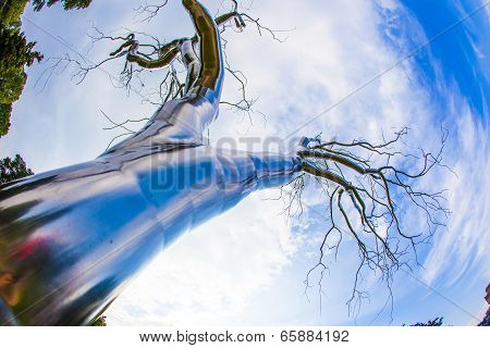 Metal Tree, “graft”( 2008-2009) By American Artist Roxy Paine