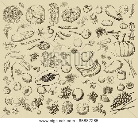hand-painted vegetables, fruits
