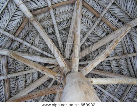 Parasol