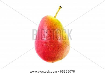 Corella Pear