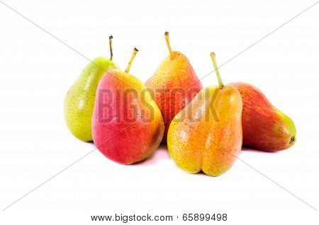 Corella Pear