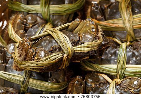 Uncooked hairy crabs
