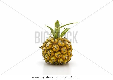 Sweet Pineapple Fruit .