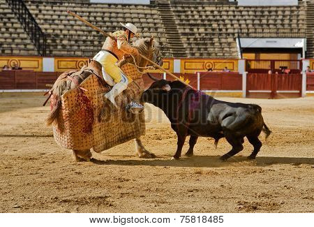 Bull Pushing