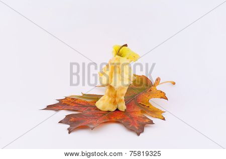 Nibbled Apple