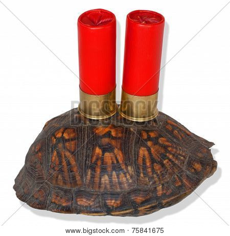 Slow Shotgun Reloads